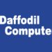 দর বৃদ্ধির শীর্ষে ড্যাফোডিল কম্পিউটার্স
