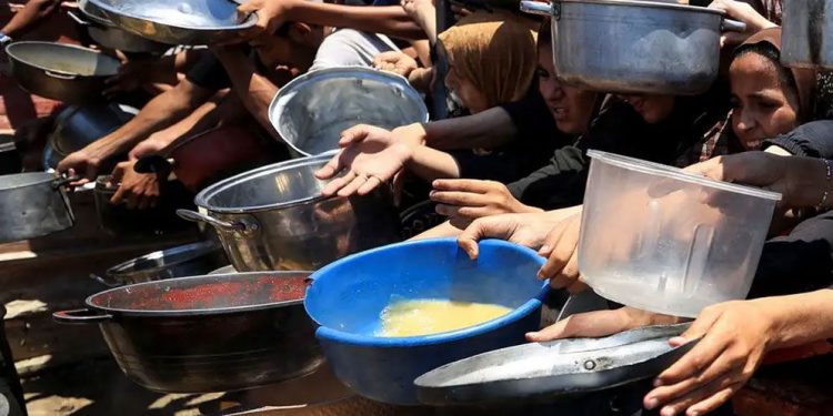 জুলাই মাসে গাজায় শুধু অনাহারেই প্রাণ গেছে ৪৮ জনের