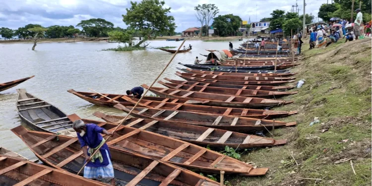 বর্ষাকালেও হাওরে পানি নেই, ঋণের টাকায় নৌকা বানিয়ে দুশ্চিন্তায় ব্যবসায়ীরা
