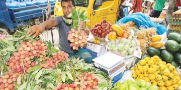 মৌসুমের শেষপ্রান্তে বাড়ছে দেশি ফলের দাম
