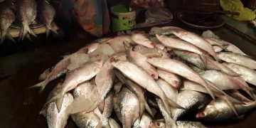 মিয়ানমার ও গুজরাটের দিকে তাকিয়ে কলকাতা