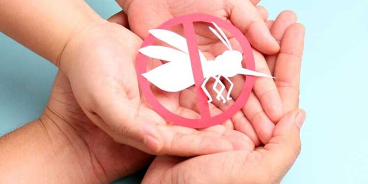 ডেঙ্গু প্রতিরোধ ও নিয়ন্ত্রণ যা করণীয়