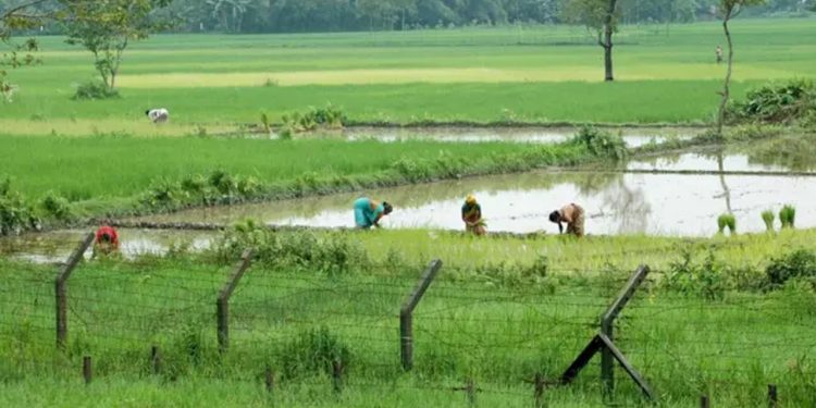 আসামে বাংলাদেশ সীমান্তঘেঁষা আদিবাসীদের অস্ত্রের লাইসেন্স দিচ্ছে ভারত