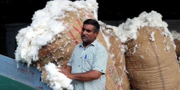 যুক্তরাষ্ট্র থেকে তুলা আমদানিতে শুল্কছাড় দিল ভারত