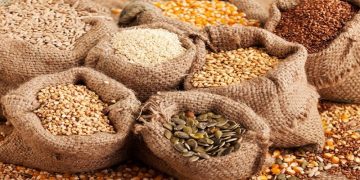 উন্নত সবজি বীজের উৎপাদন বাড়ানোর উদ্যোগ নিন