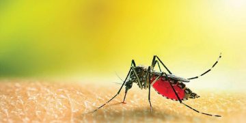 মশাবাহিত রোগের বিস্তার রোধে জনসচেতনতা