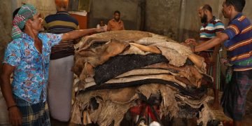 চামড়া শিল্পের করুণ বাস্তবতা ও ভবিষ্যৎ