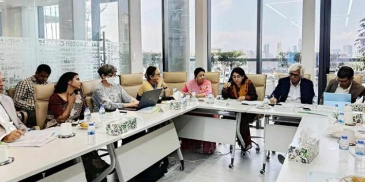 এলডিসি উত্তরণে দাম বাড়তে পারে ওষুধ-সফটওয়্যারসহ বিভিন্ন পণ্যে