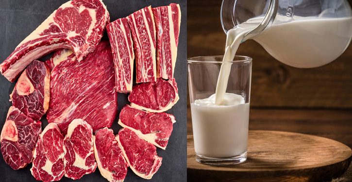 দুধ ও মাংস উৎপাদন বৃদ্ধির পরিকল্পনা নিয়েছে সরকার