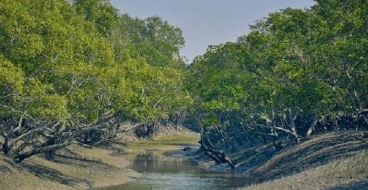 তিন মাস পর খুলল সুন্দরবনের দুয়ার