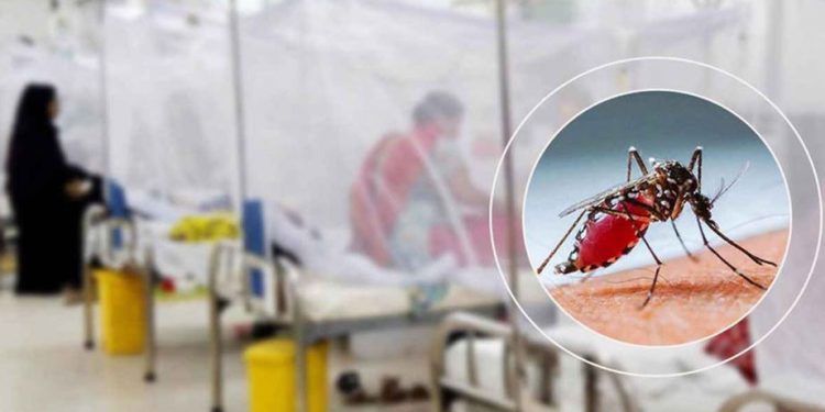 ঢাকায় ডেঙ্গুতে একদিনে হাসপাতালে ভর্তি ৮৪৫, মৃত্যু ৪