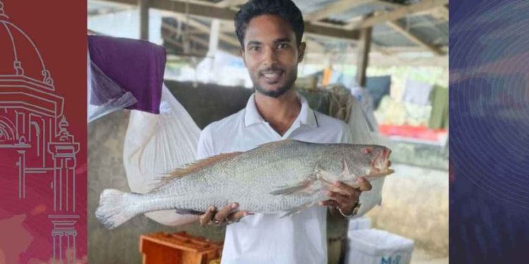 বিরল কালো পোয়া ধরা পড়লো বঙ্গোপসাগরে, বিক্রি ৮০ হাজারে