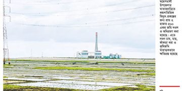 আমন মৌসুমে সার সংকট, হুমকিতে খাদ্য উৎপাদন