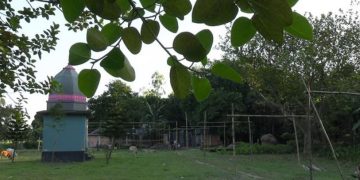 চলছে পূজার আয়োজন, ১৬ বছর পর মন্দির থেকে ১৪৪ ধারা প্রত্যাহার