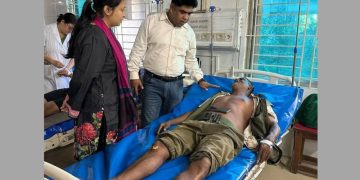 ডুলাহাজারা সাফারি পার্কে প্রশিক্ষিত হাতির আচরণে দুই মাহুত আহত