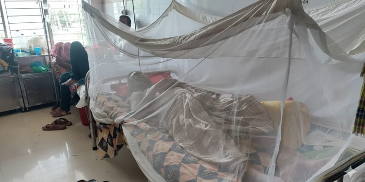 ডেঙ্গুতে হাসপাতালে ভর্তি ৩৭৪, মৃত্যু আরো ১ জনের