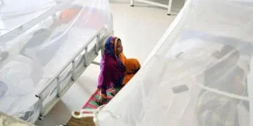 ডেঙ্গুতে হাসপাতালে ভর্তি ১১৯৫, মৃত্যু আরও ৬ জনের