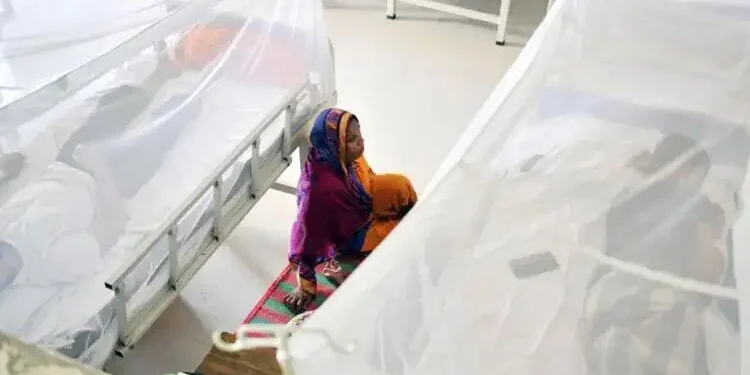 ডেঙ্গুতে হাসপাতালে ভর্তি ১১৯৫, মৃত্যু আরও ৬ জনের