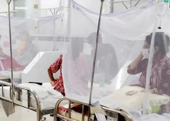 ডেঙ্গুতে হাসপাতালে ভর্তি ১০০৭, মৃত্যু আরও ৩ জনের