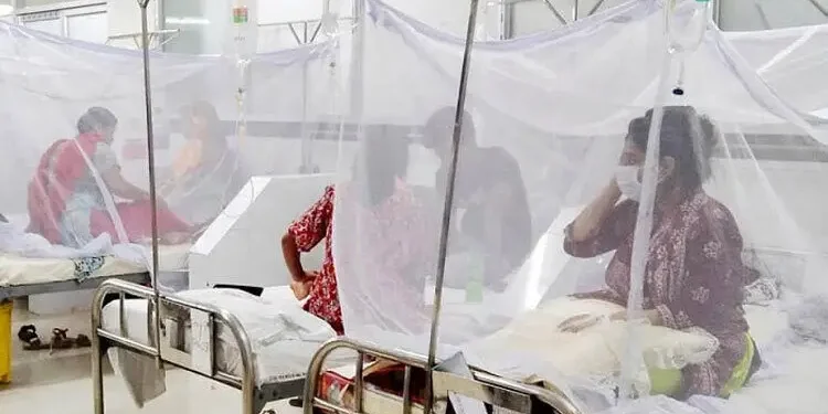 ডেঙ্গুতে হাসপাতালে ভর্তি ১০০৭, মৃত্যু আরও ৩ জনের