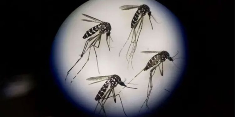 ডেঙ্গুর ভয়াবহতায় বাড়ছে মৃত্যুর মিছিল