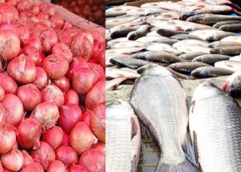 কমছে না পেঁয়াজের দাম, এখনো চড়া মাছের বাজার