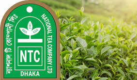 চা বিক্রিতে ৪৭ বছরের রেকর্ড ভাঙল ন্যাশনাল টি কোম্পানি