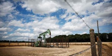 বিশ্ববাজারে বাড়ল তেলের দাম