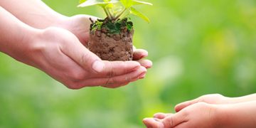 বীমা প্রিমিয়ামের ওপর কমিশন বন্ধের আইন কতটুকু কার্যকর হবে?