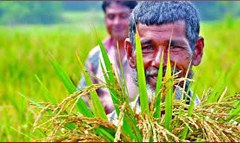 প্রধানমন্ত্রীর এক ঘোষণাতেই ঋণমুক্ত ১২ লাখ কৃষক