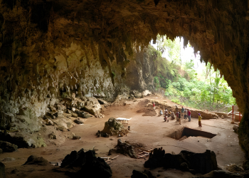 মাত্র ৩ ফুট লম্বা মানুষ! ৬১ হাজার বছর আগে কেন হারিয়ে গেল ফ্লোরেস দ্বীপের হবিটরা?