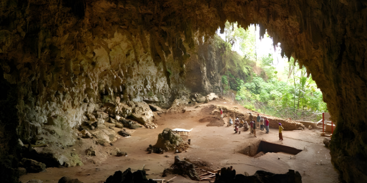 মাত্র ৩ ফুট লম্বা মানুষ! ৬১ হাজার বছর আগে কেন হারিয়ে গেল ফ্লোরেস দ্বীপের হবিটরা?