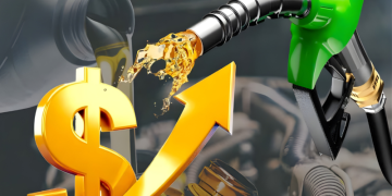 বিশ্বে তেলের সংকট? জরুরি মজুত থেকে ৪০ কোটি ব্যারেল ছাড়ার ঘোষণা আইইএ’র