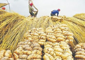 সংকটে ব্যবসা ও কৃষি অর্থনীতি