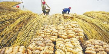 সংকটে ব্যবসা ও কৃষি অর্থনীতি