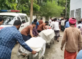 সিলেটে ভয়াবহ সড়ক দুর্ঘটনা: ট্রাক-পিকআপ সংঘর্ষে নিহত ৮, আহত ৭