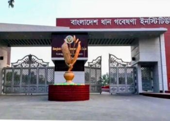 ফ্যাসিবাদবিরোধী আন্দোলনের পর তদন্ত কমিটি গঠন