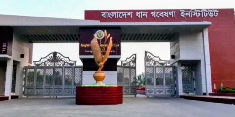 ফ্যাসিবাদবিরোধী আন্দোলনের পর তদন্ত কমিটি গঠন
