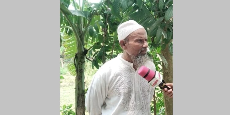 জামায়াত নেতার বিরুদ্ধে সামাজিক বনায়নের গাছ কাটার অভিযোগ, এলাকায় ক্ষোভ